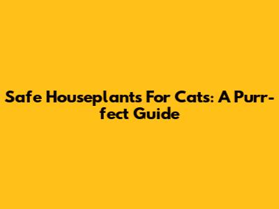 Safe Houseplants For Cats: A Purr-fect Guide
